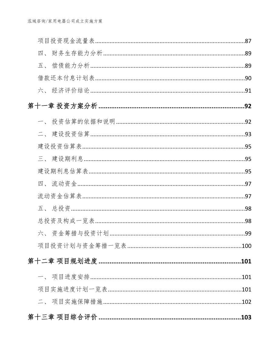 家用电器公司成立实施方案【范文】_第5页