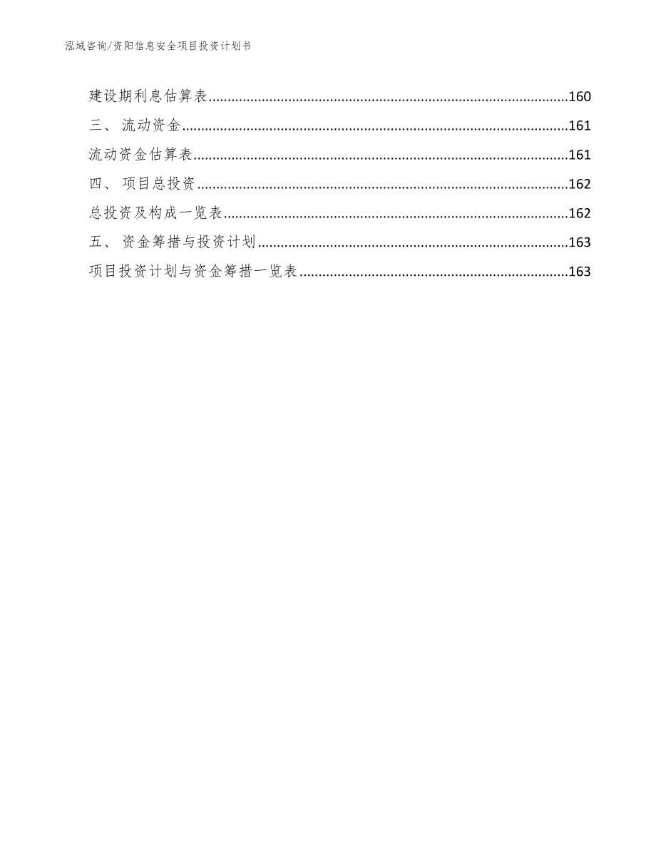 资阳信息安全项目投资计划书_第5页