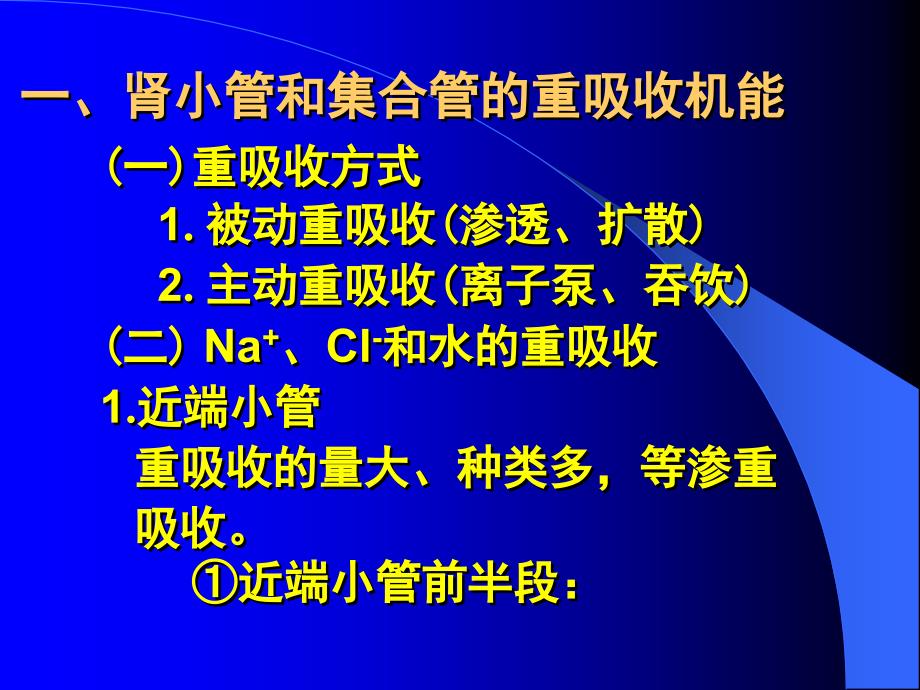 肾小管和集合管的功能_第2页