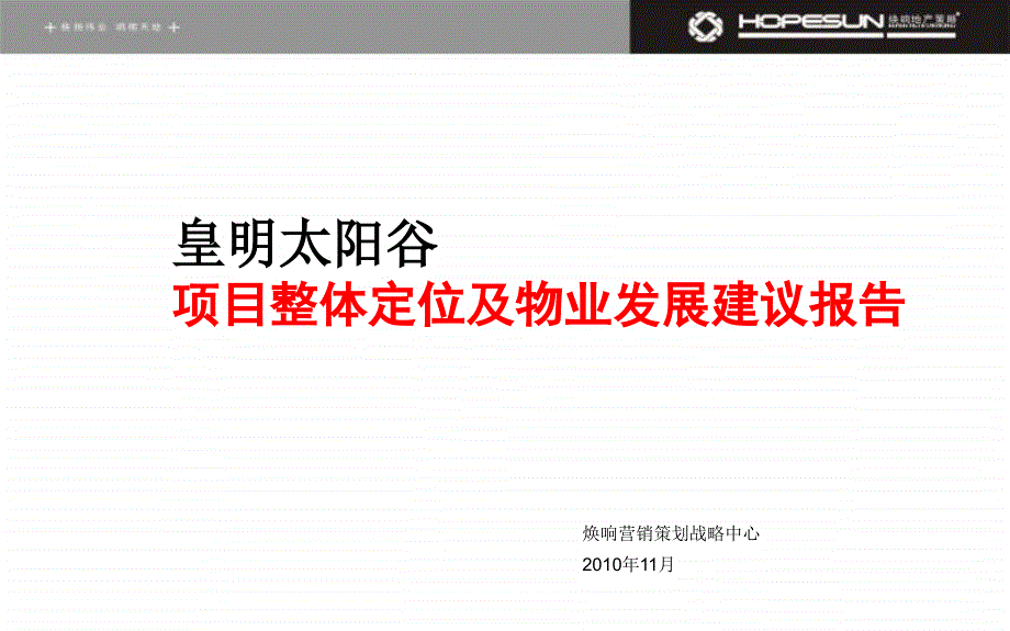 某项目整体定位及物业发展建议报告_第2页