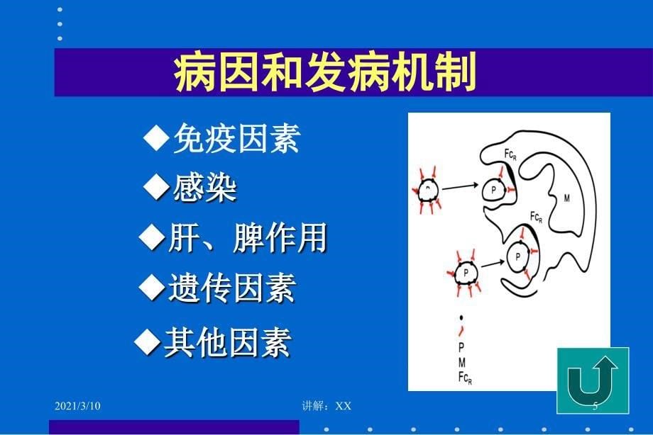 特发性血小板减少性紫癜参考_第5页