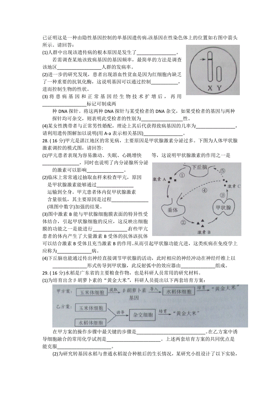 高三高考测试（一）生物试题 含答案_第3页