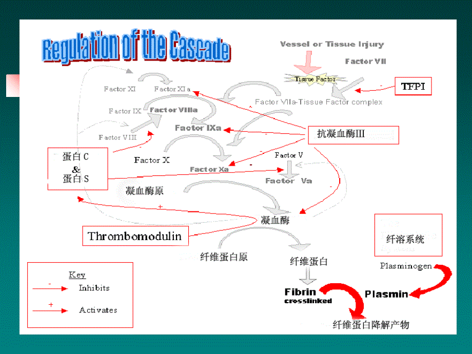 最新：妊娠血液高凝状态和产科并发症文档资料_第3页