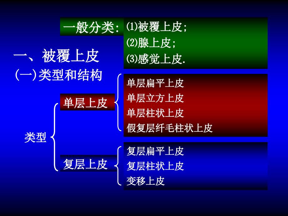 人体组织学与解剖学：01-基本组织-1_第2页