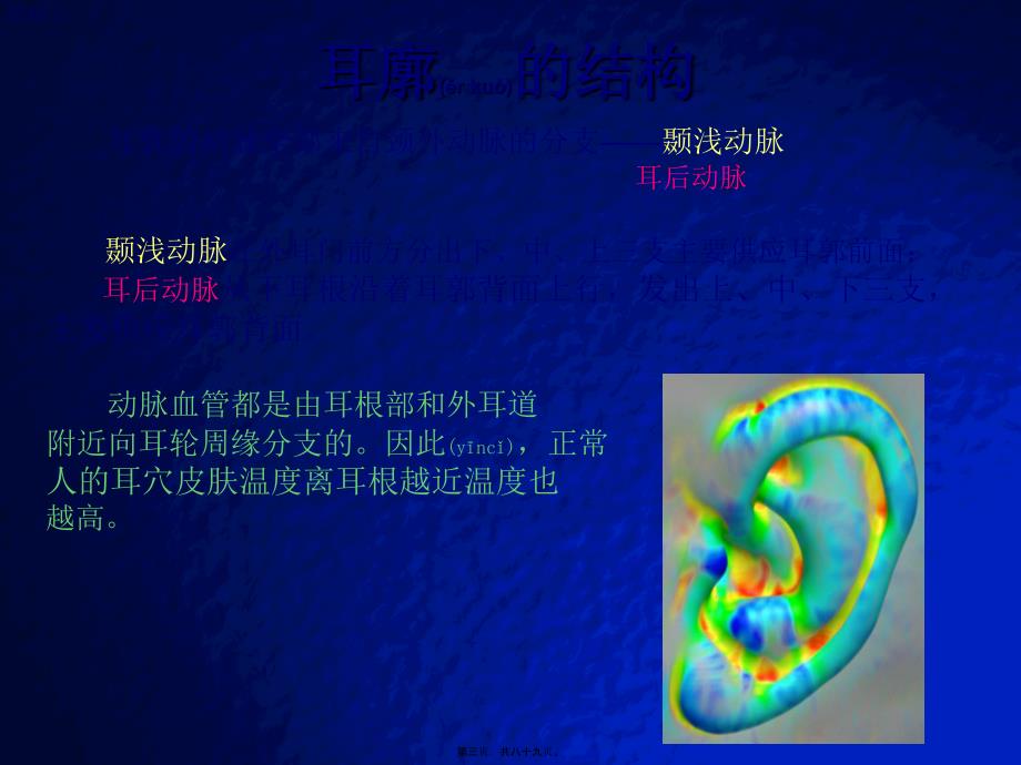 彩色耳穴实拍图-耳穴快速记忆法定位法及各种操作方法课件_第3页