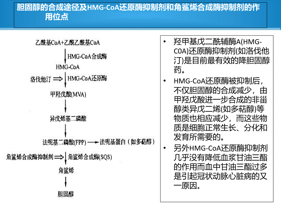 微生物与生化药学专业英语_第3页