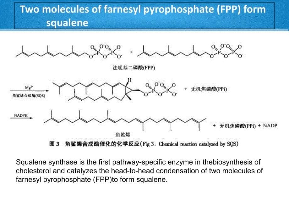 微生物与生化药学专业英语_第5页