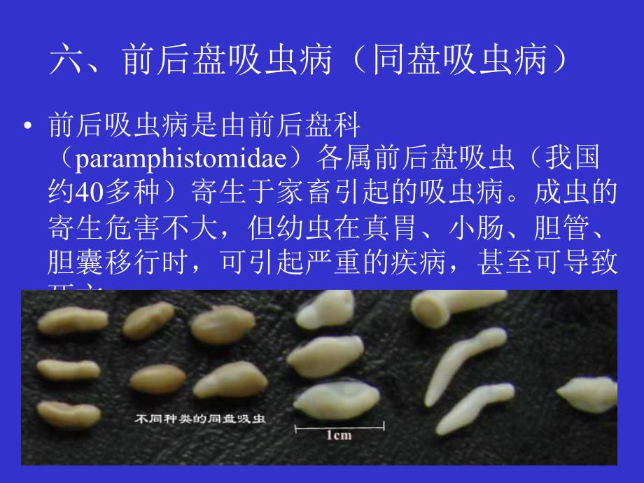 六前后盘吸虫病_第1页