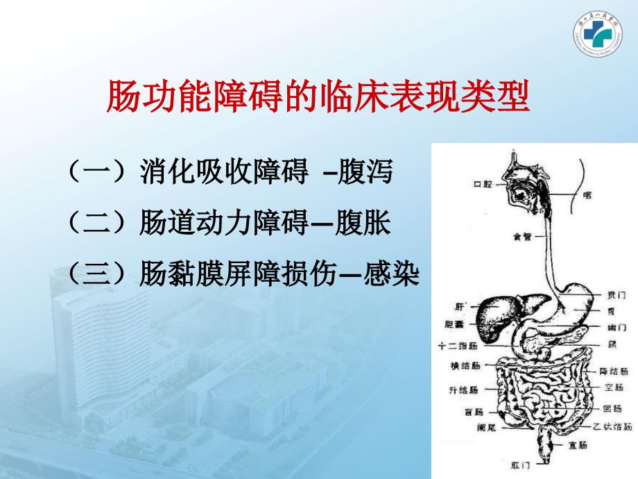 重症患者的胃肠道问题第十三章_第4页