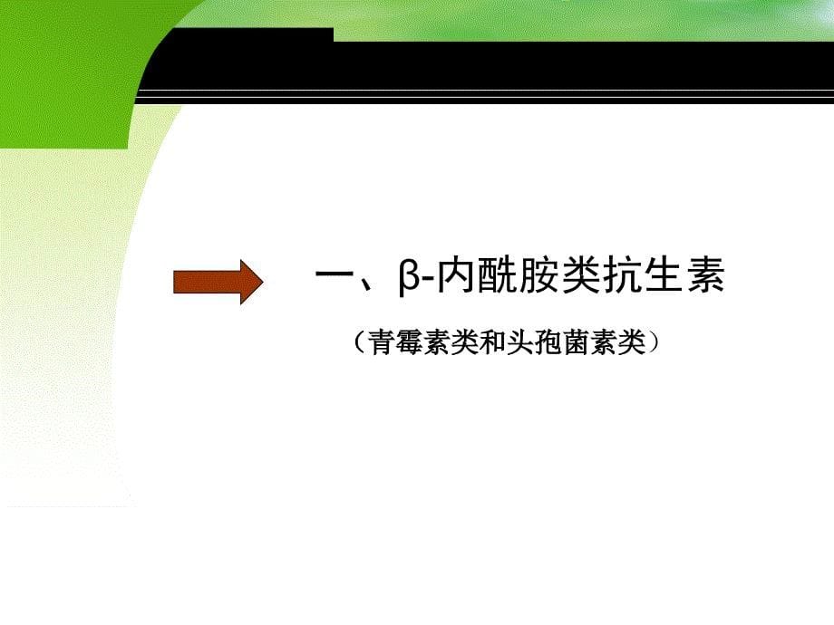 抗菌药物合理用药及销售技巧_第5页