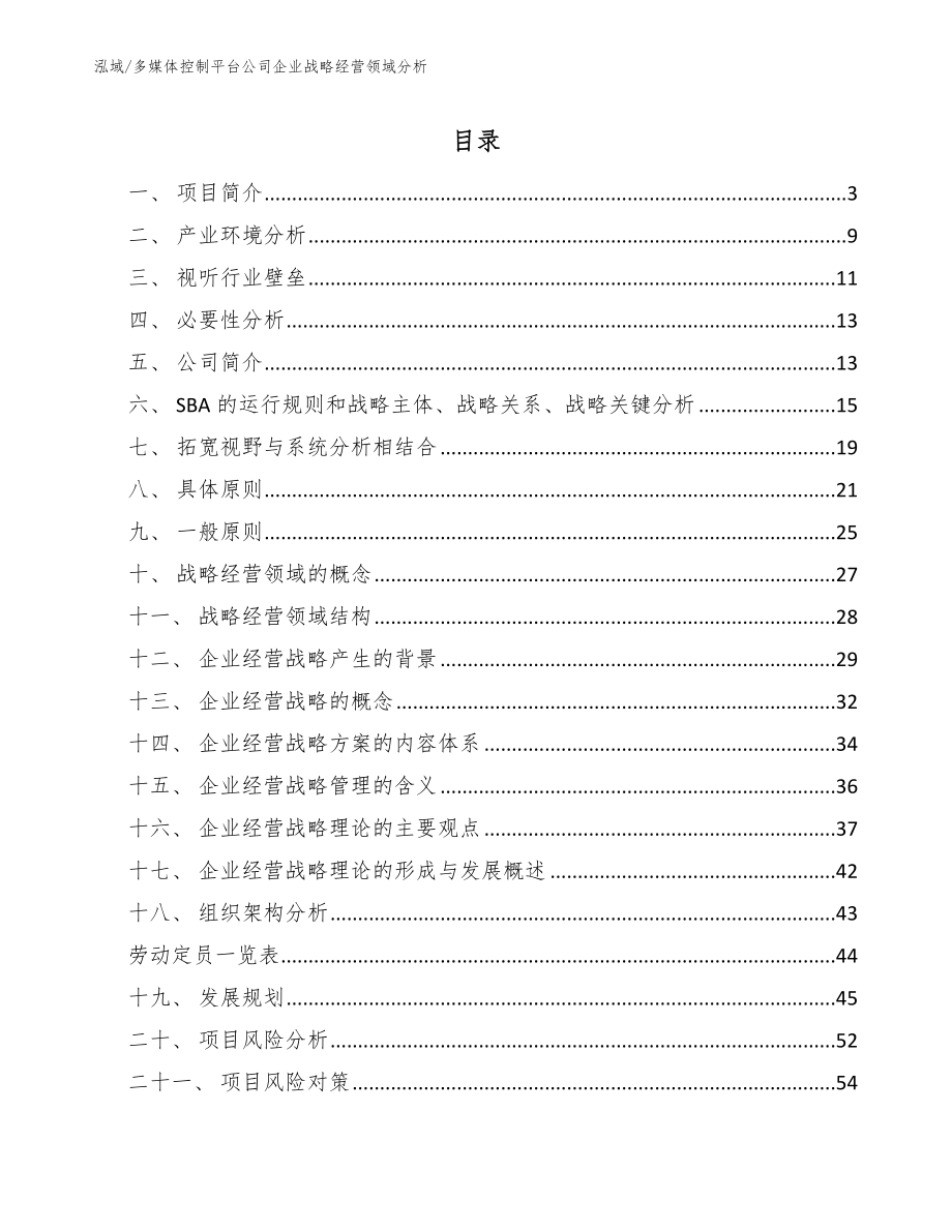 多媒体控制平台公司企业战略经营领域分析（参考）_第2页