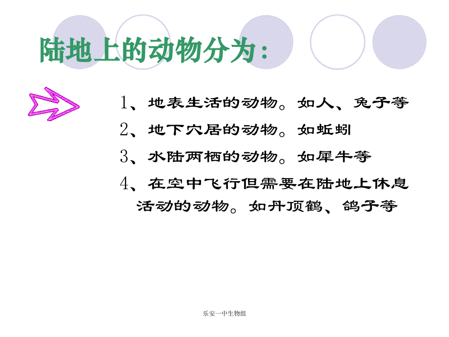 陆地生活的动物_第4页