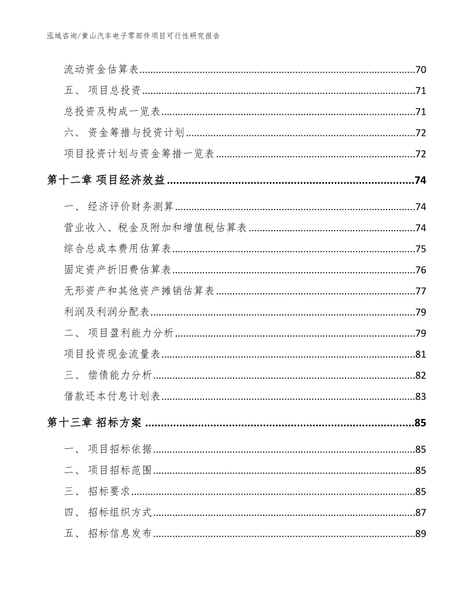 黄山汽车电子零部件项目可行性研究报告模板范本_第4页