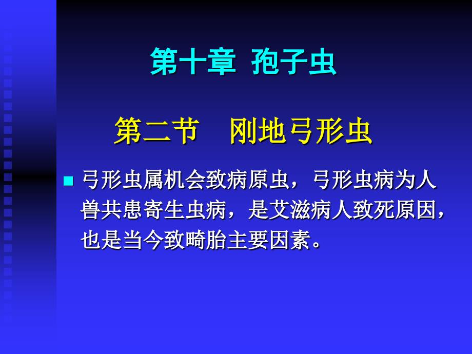 最新原虫4弓形虫ppt课件_第2页