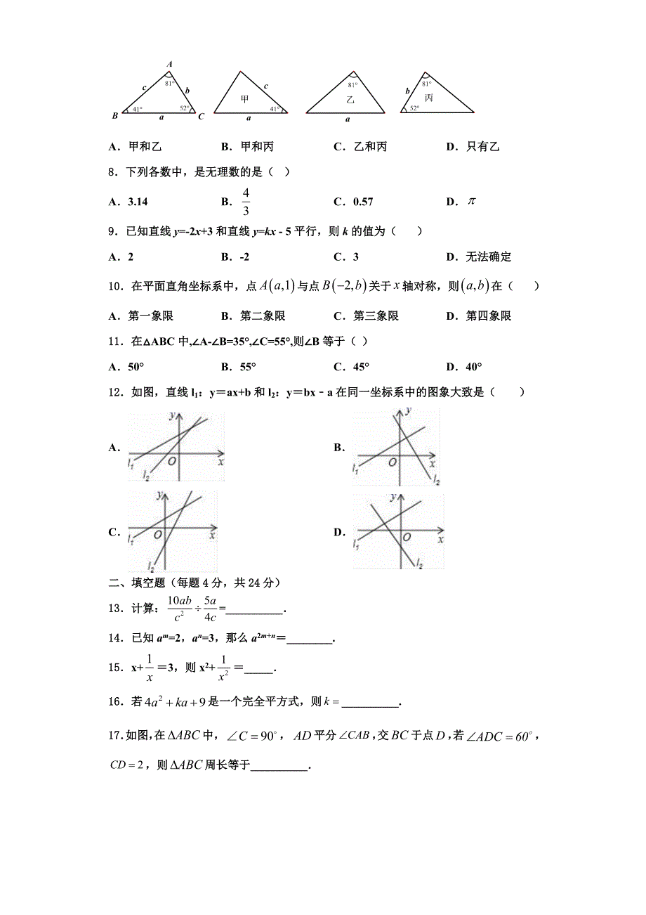 吉林省白城地区大安县2023学年八年级数学第一学期期末质量跟踪监视模拟试题含解析.doc_第2页