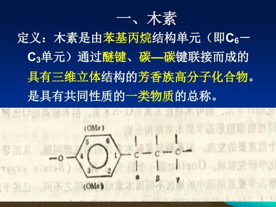 第二章_木素_第5页