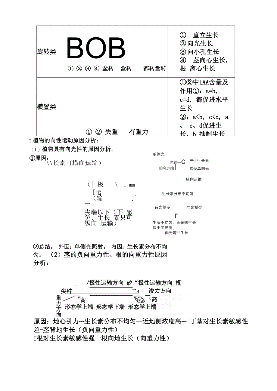 植物激素专题讲义_第3页