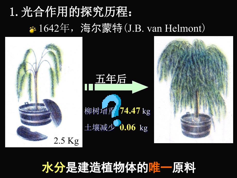 54能量之源—光合作用与ATP_第2页