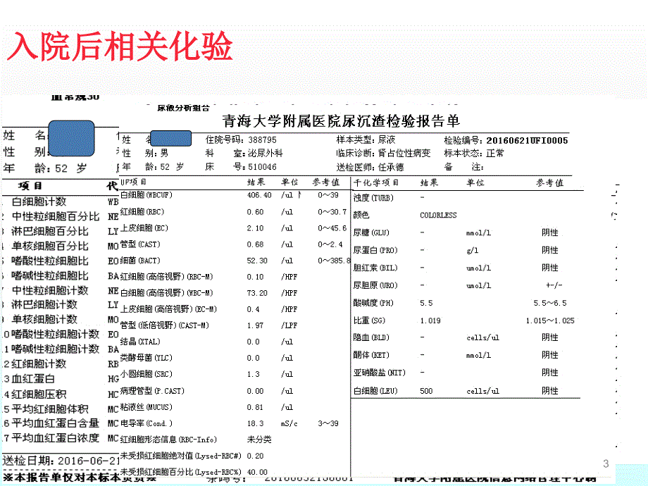 肾癌最终版ppt课件_第3页