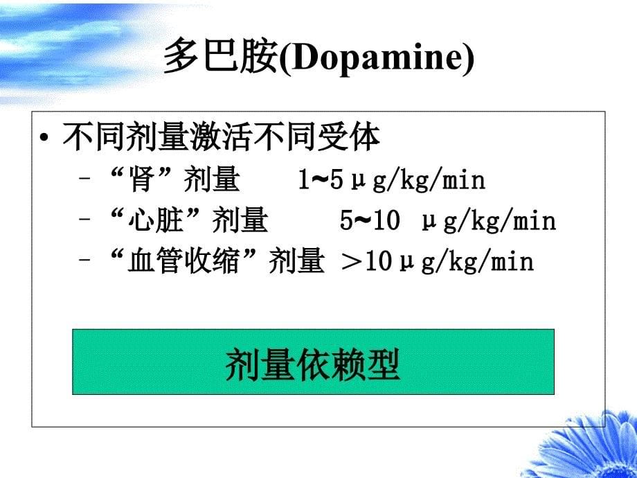 急救药品注射泵配制与应用j课件_第5页