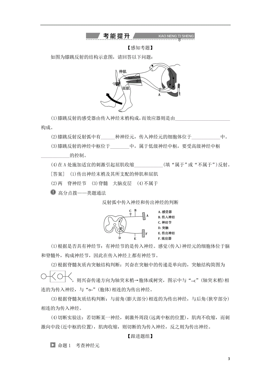 2018版高考生物复习生命活动的调节第30讲通过神经系统的调节学案.doc_第3页