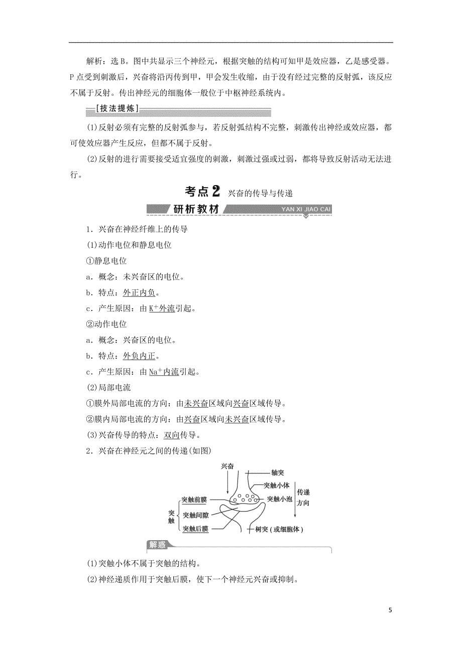 2018版高考生物复习生命活动的调节第30讲通过神经系统的调节学案.doc_第5页