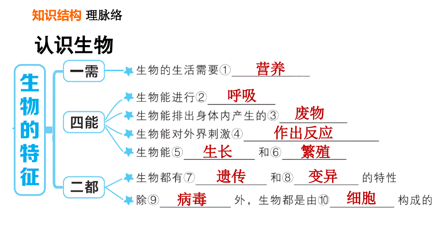 人教版七年级上册生物习题课件 第一单元 第一章巩固强化复习_第3页