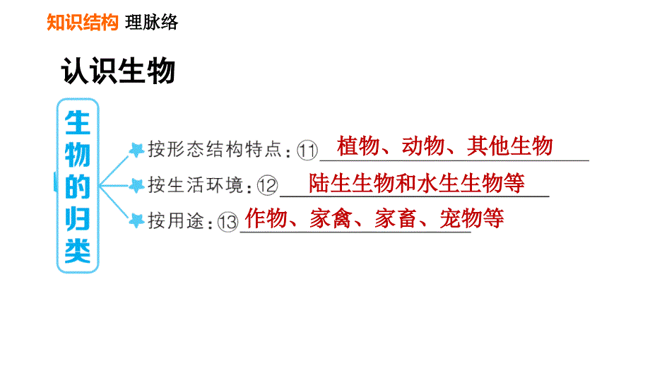 人教版七年级上册生物习题课件 第一单元 第一章巩固强化复习_第4页