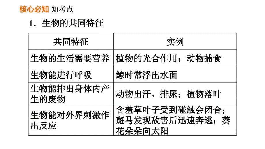 人教版七年级上册生物习题课件 第一单元 第一章巩固强化复习_第5页