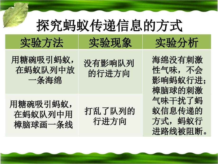 生物是怎样传递信息的参考课件_第3页