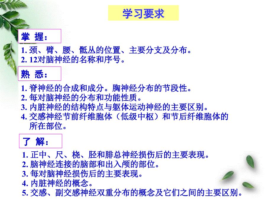 10解剖组胚学神经系统脊神经(临床专业)_第2页