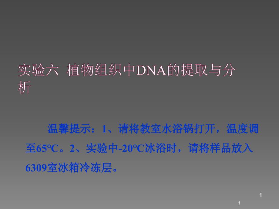 植物组织基因组DNA的提取与分析ppt课件_第1页