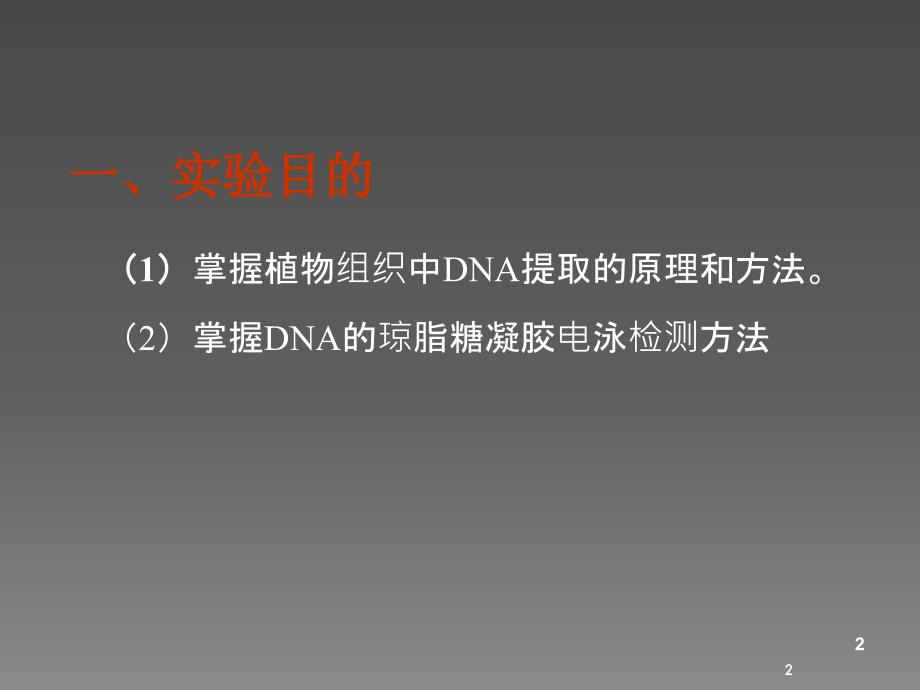 植物组织基因组DNA的提取与分析ppt课件_第2页