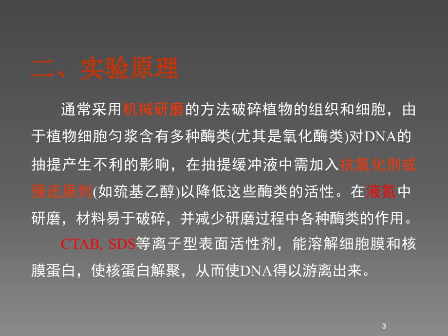 植物组织基因组DNA的提取与分析ppt课件_第3页