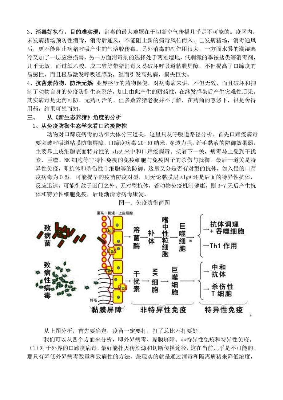 口蹄疫病毒突破宿主细胞天然免疫应答的机制_第5页