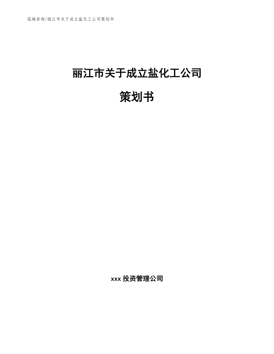 丽江市关于成立盐化工公司策划书_第1页