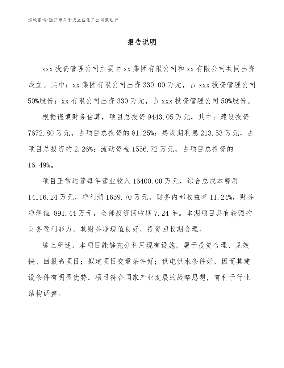 丽江市关于成立盐化工公司策划书_第2页