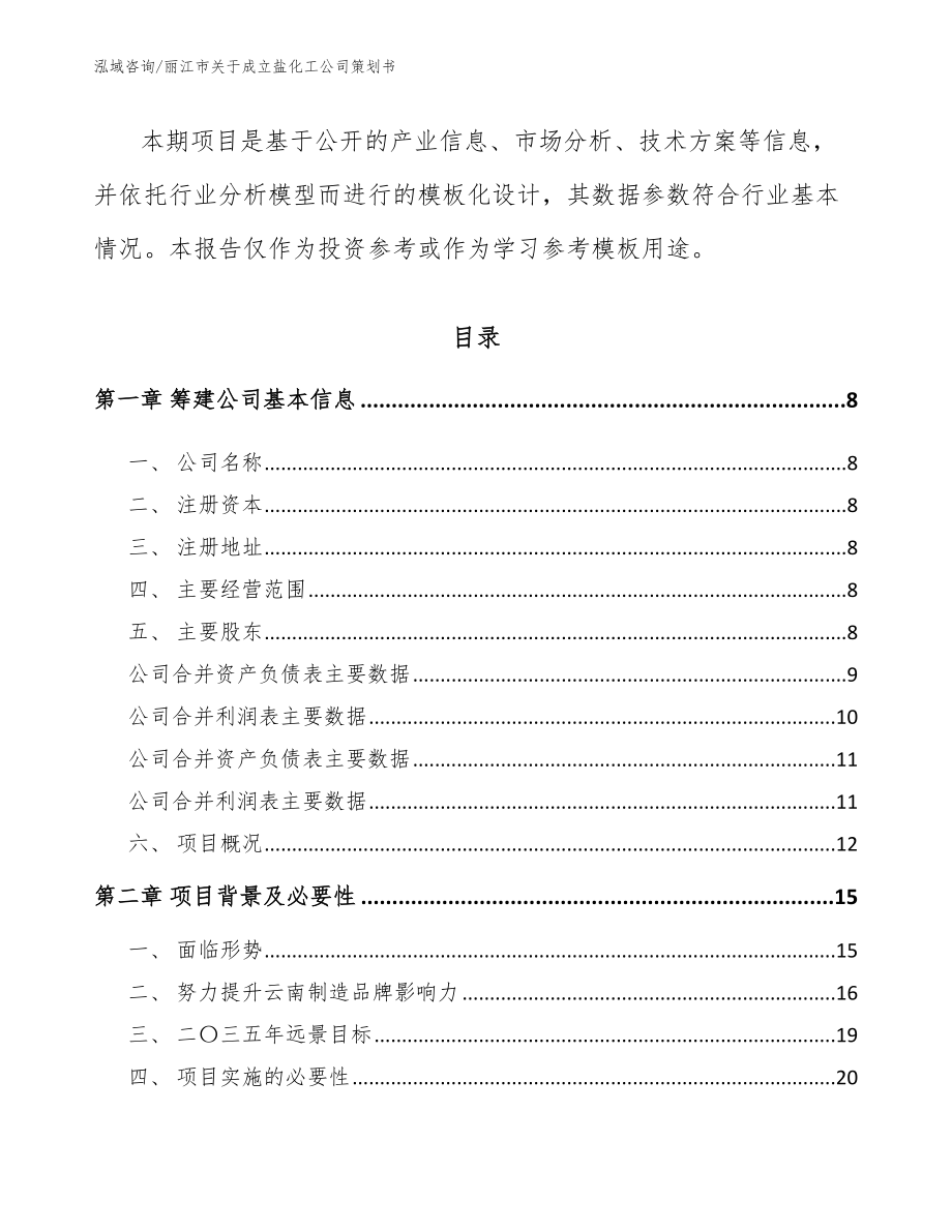 丽江市关于成立盐化工公司策划书_第3页