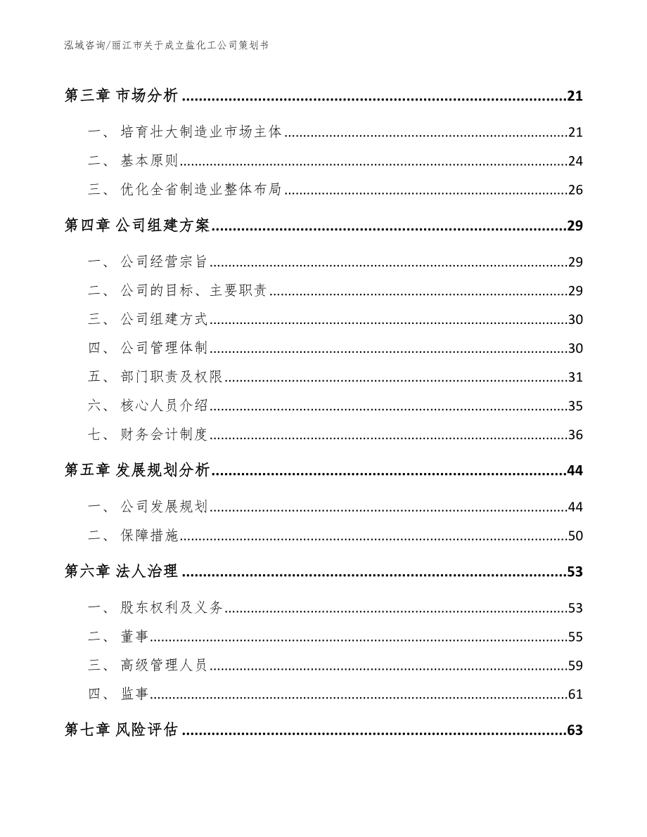 丽江市关于成立盐化工公司策划书_第4页