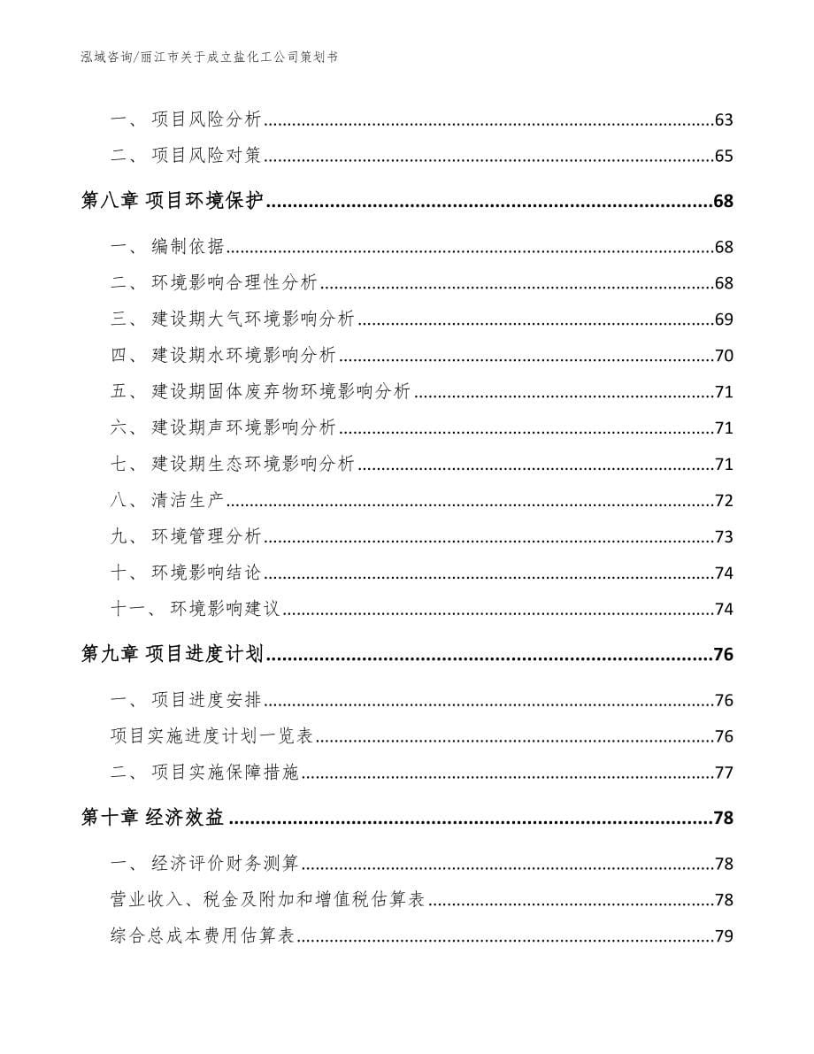 丽江市关于成立盐化工公司策划书_第5页