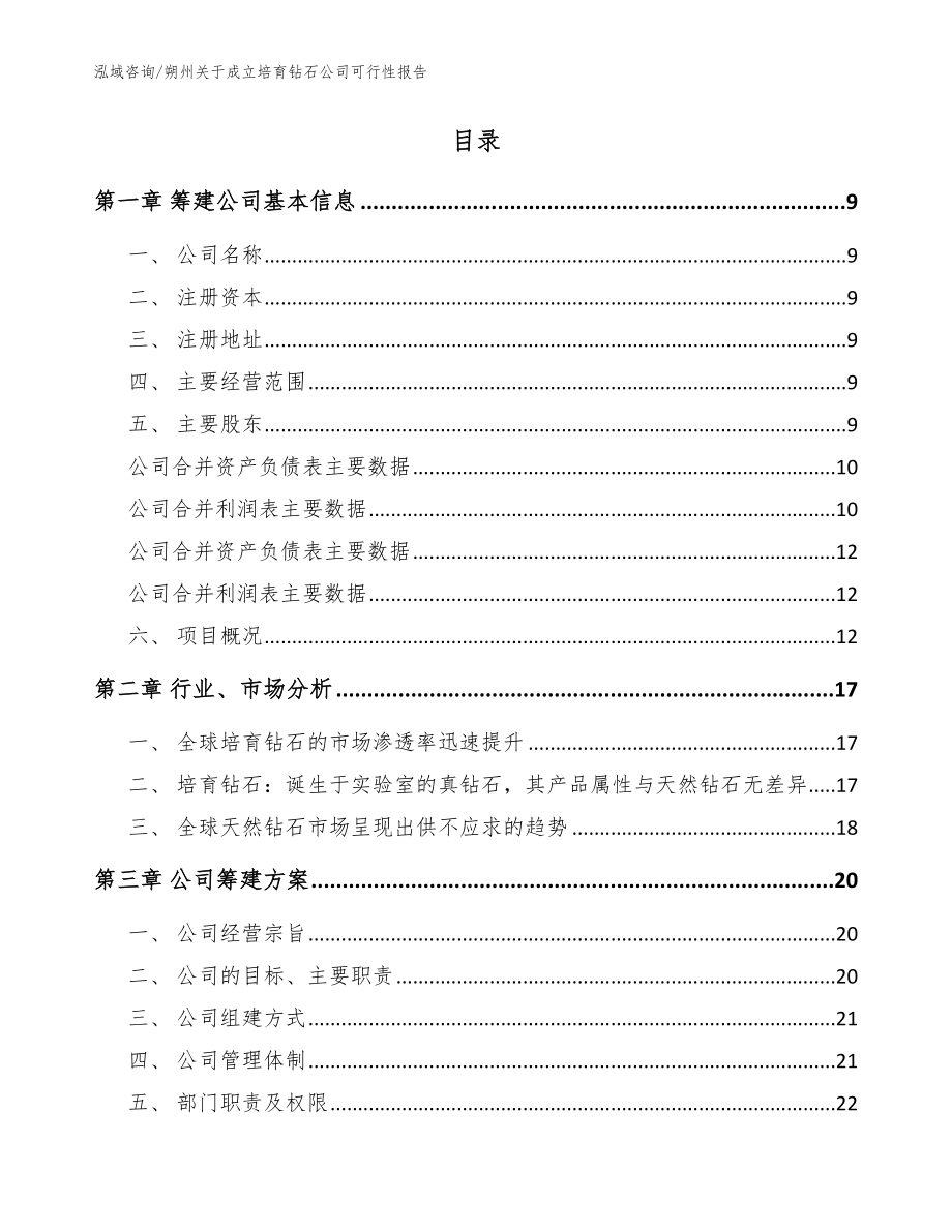 朔州关于成立培育钻石公司可行性报告【参考模板】_第2页