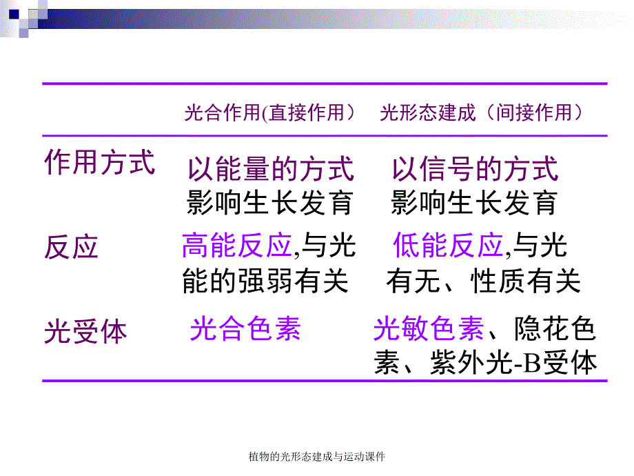 植物的光形态建成与运动课件_第3页