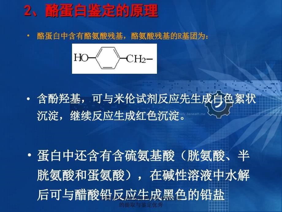 动物生化实验实验四牛乳中蛋白质的提取与鉴定优秀课件_第5页