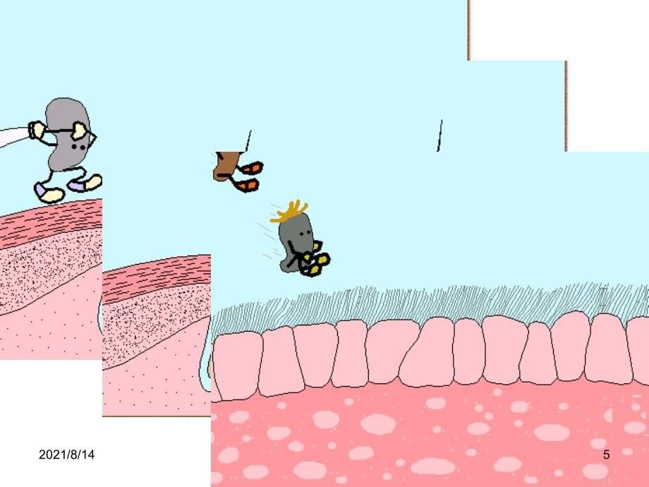 初中生物非特异性免疫和特异性免疫_第5页