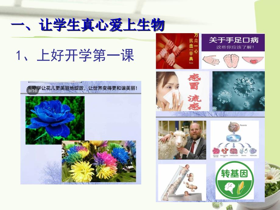 初中生物教学经验分享.ppt_第3页