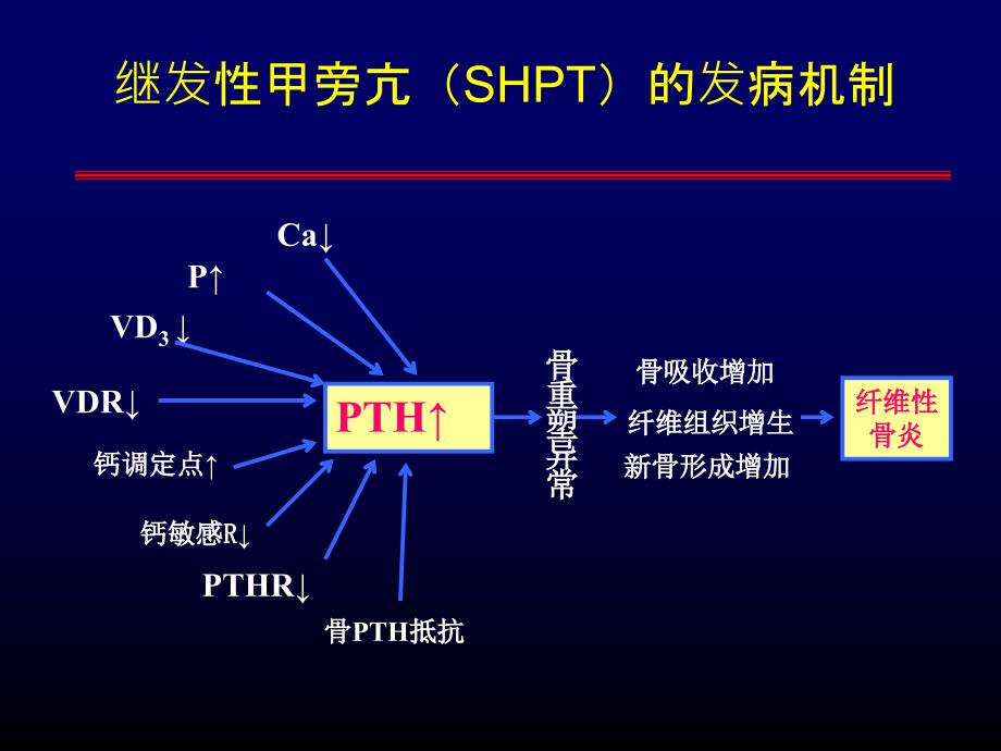 骨化三醇在慢性肾脏病中应用进展.ppt_第4页