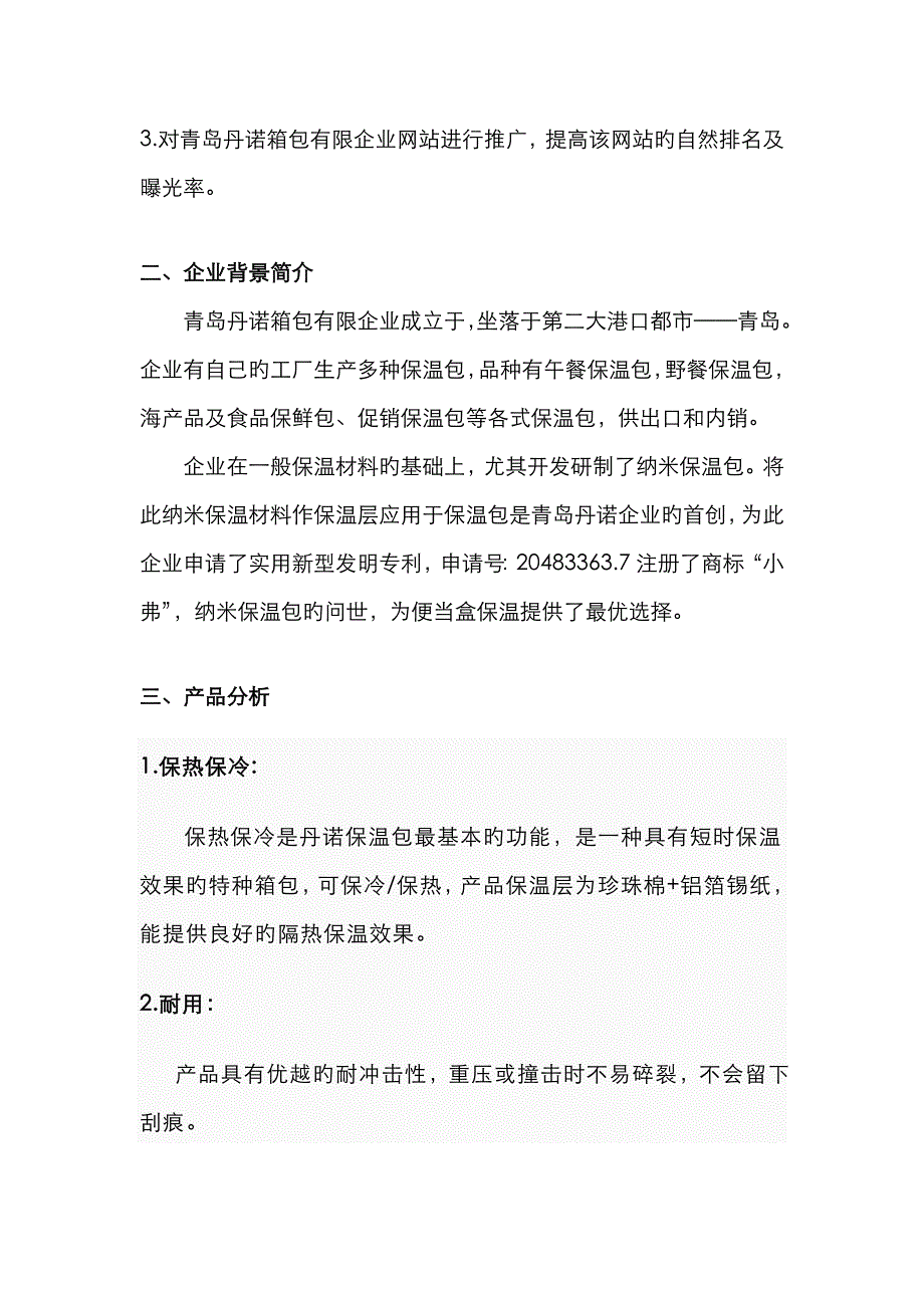 公司网站推广方案_第2页