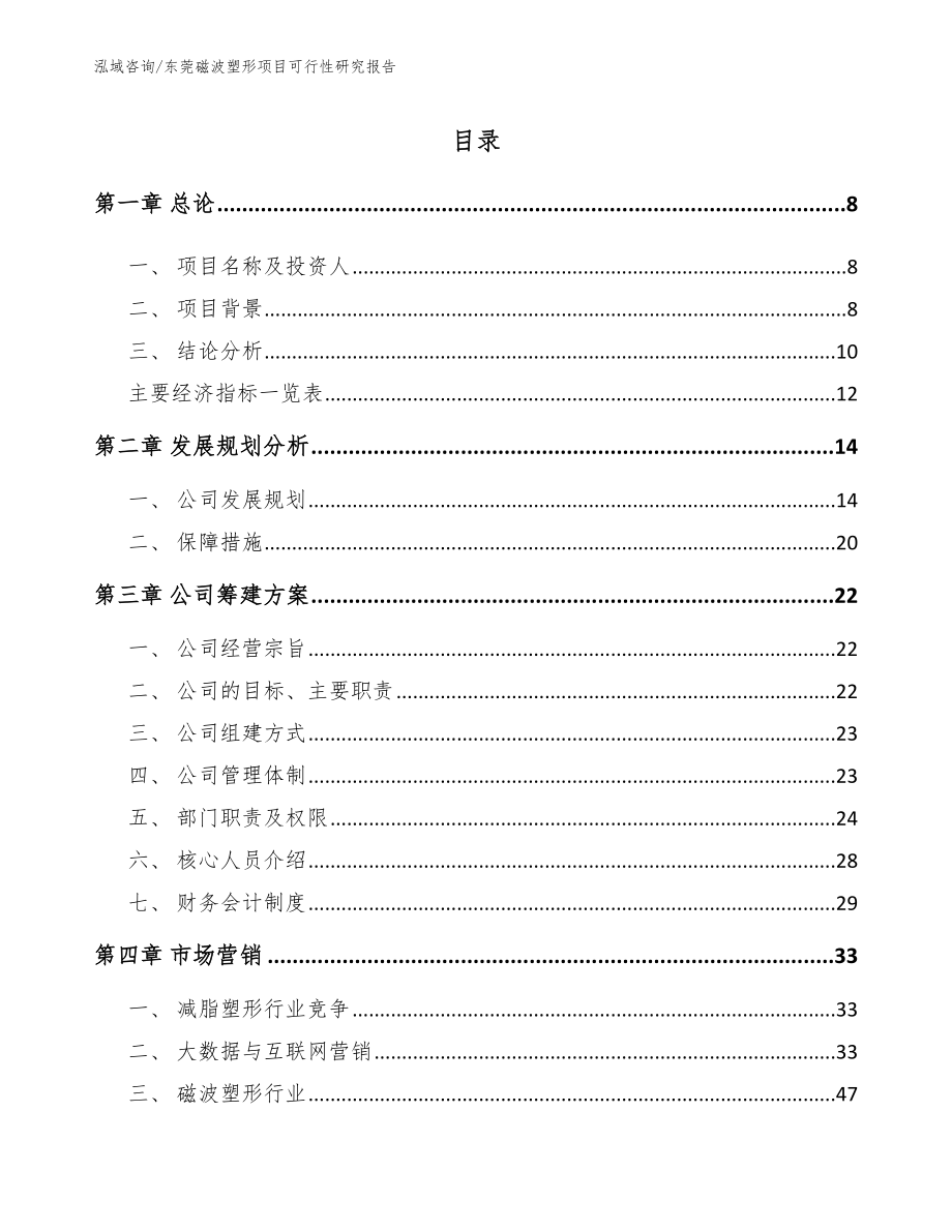 东莞磁波塑形项目可行性研究报告_第1页