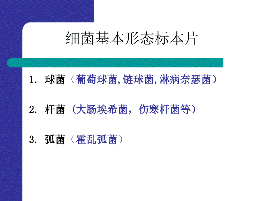 显微镜油镜的使用与细菌形态观察_第3页