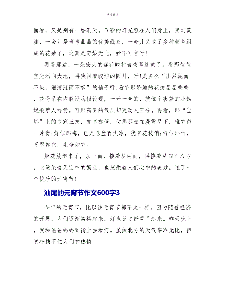 汕尾的元宵节作文600字_第3页